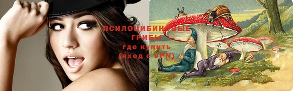каннабис Алзамай